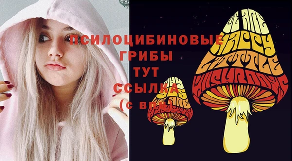 прущие крисы Алексеевка
