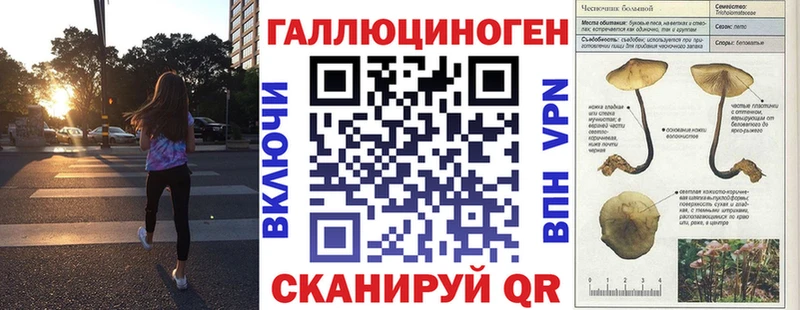 kraken онион  Краснослободск  Галлюциногенные грибы мицелий  цена  